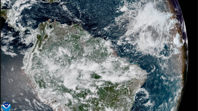 Captura de pantalla 2026-01-17 131522 - Ondas del Meta