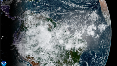 Captura de pantalla 2026-03-19 103506 - Ondas del Meta